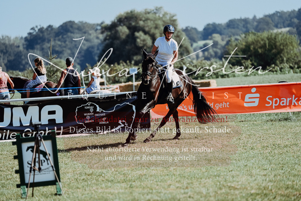 DSC_5690 | Pferde- und Turnierfotografie in Westsachsen. Pferdeportraits, Auftragszeichnungen und intuitive Kunst.