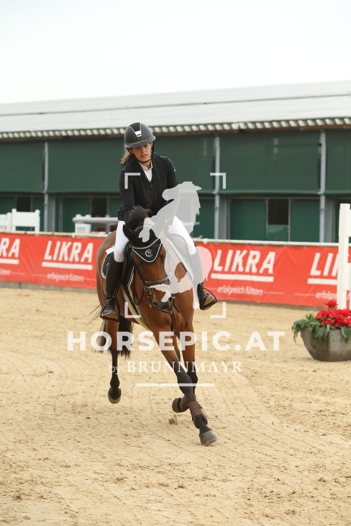 DL2Q5958 | Willkommen bei Brunnmayr - Design & Fotografie – Ihrem Spezialisten für Reitturniere und Pferdeveranstaltungen in Oberösterreich, Salzburg und Bayern! Seit über 17 Jahren sind wir leidenschaftlich dabei.