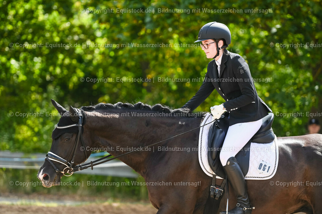 20230715_07_Dressurpferdeprfg. Kl.L_0189 | equistock