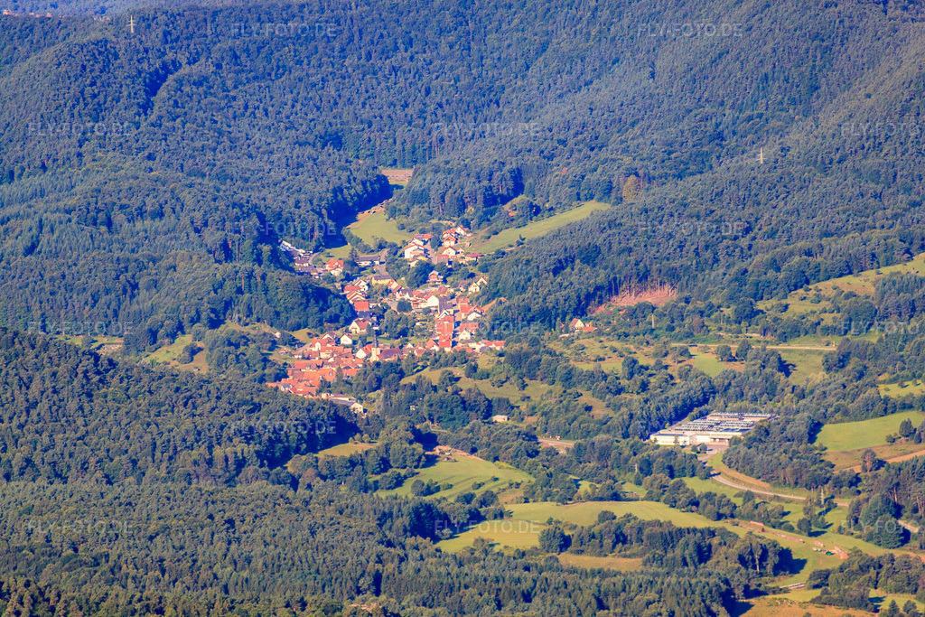 Luftbild: Dorf im Pfälzerwald von Osten in Schwanheim im Bundesland Rheinland-Pfalz in Deutschland. Foto: IMG_30980.jpg vom 07.08.2010 durch Werner Riehm/FLY-FOTO.de