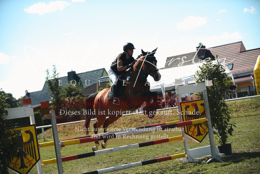 DSC_7105 | Pferde- und Turnierfotografie in Westsachsen. Pferdeportraits, Auftragszeichnungen und intuitive Kunst.