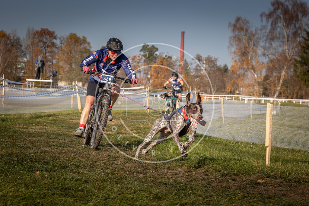 CaniXpix_0L8A7639 | Hundefotografie, Tierfotograf, Pfotenfotografie, Fotoshooting Hund, Hunde Portrait, Hundesport, Hundeportraits, Heideshooting, Hunde, Sportfotograf, Hundefotograf, Turnierhundsport, THS,  - Realisiert mit Pictrs.com