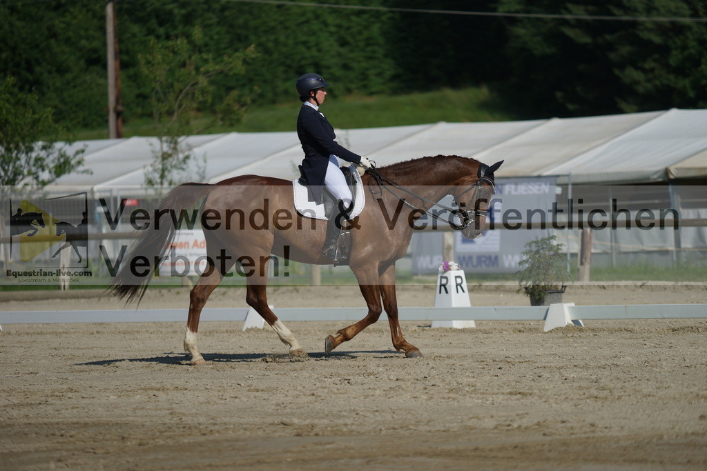 DSC02483 | equestrian-live-com
