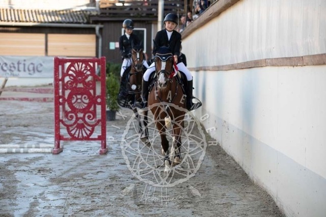 2B4A4059 | pixelfaenger - Realisiert mit Pictrs.com