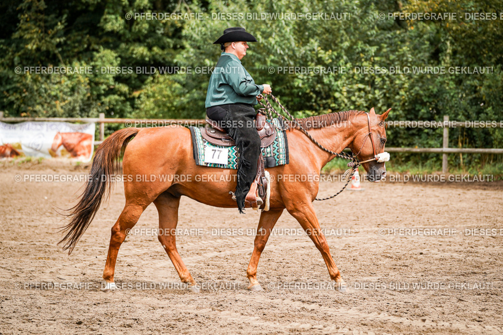 DSC04738 | Pferdegrafie