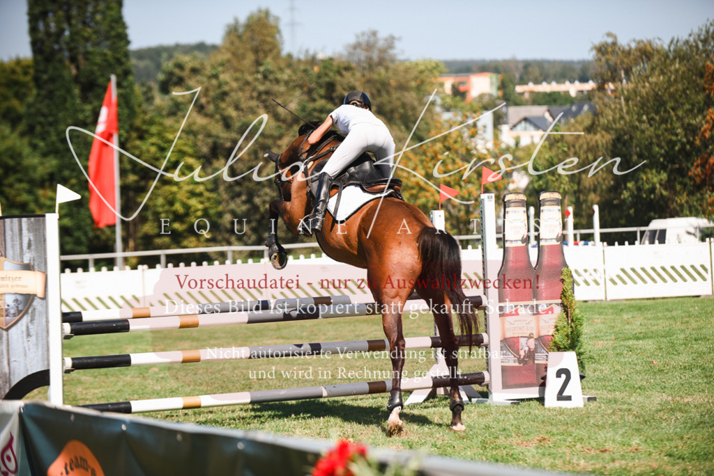 DSC_2893 | Pferde- und Turnierfotografie in Westsachsen. Pferdeportraits, Auftragszeichnungen und intuitive Kunst.