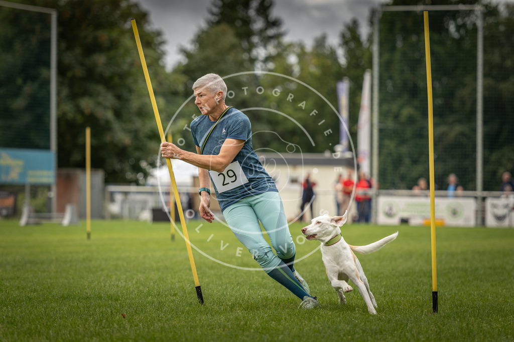 Pfotenfotografie_DV3A8279 | Hundefotografie, Tierfotograf, Pfotenfotografie, Fotoshooting Hund, Hunde Portrait, Hundesport, Hundeportraits, Heideshooting, Hunde, Sportfotograf, Hundefotograf, Turnierhundsport, THS,  - Realisiert mit Pictrs.com