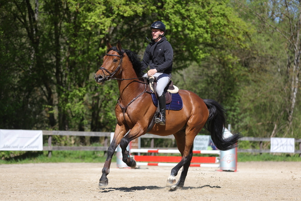 0P6A8140 | Willkommen bei Brunnmayr - Design & Fotografie – Ihrem Spezialisten für Reitturniere und Pferdeveranstaltungen in Oberösterreich, Salzburg und Bayern! Seit über 17 Jahren sind wir leidenschaftlich dabei.