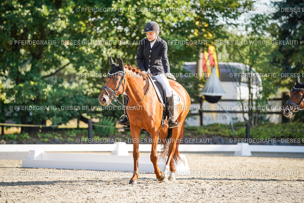 DSC09136 | Pferdegrafie