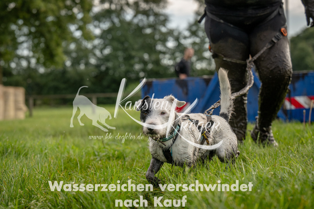 1006_ZZ90599 | kk-dogfotos