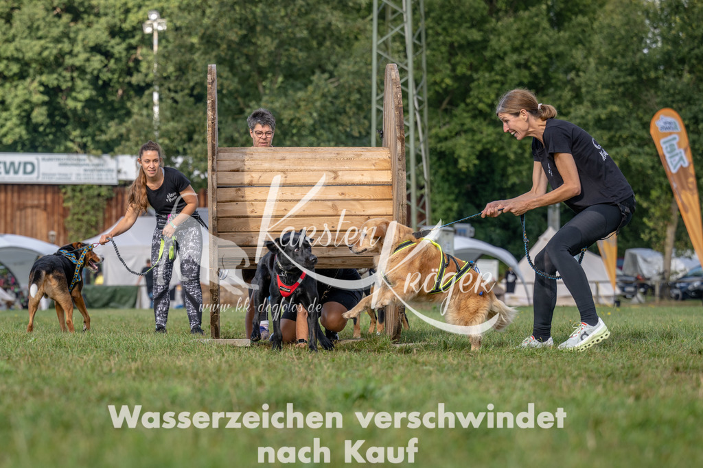1026_ZZ92301 | kk-dogfotos