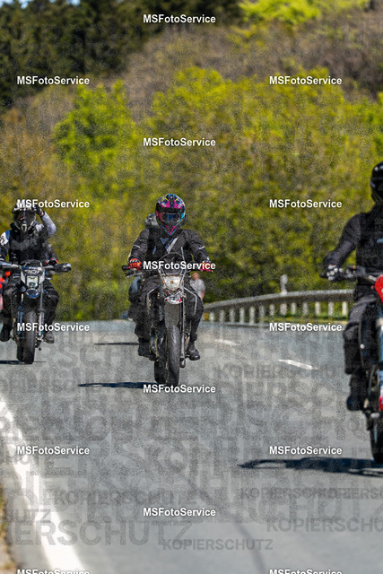 MSFotoServiceXXX116 | MSFotoService - Realisiert mit Pictrs.com