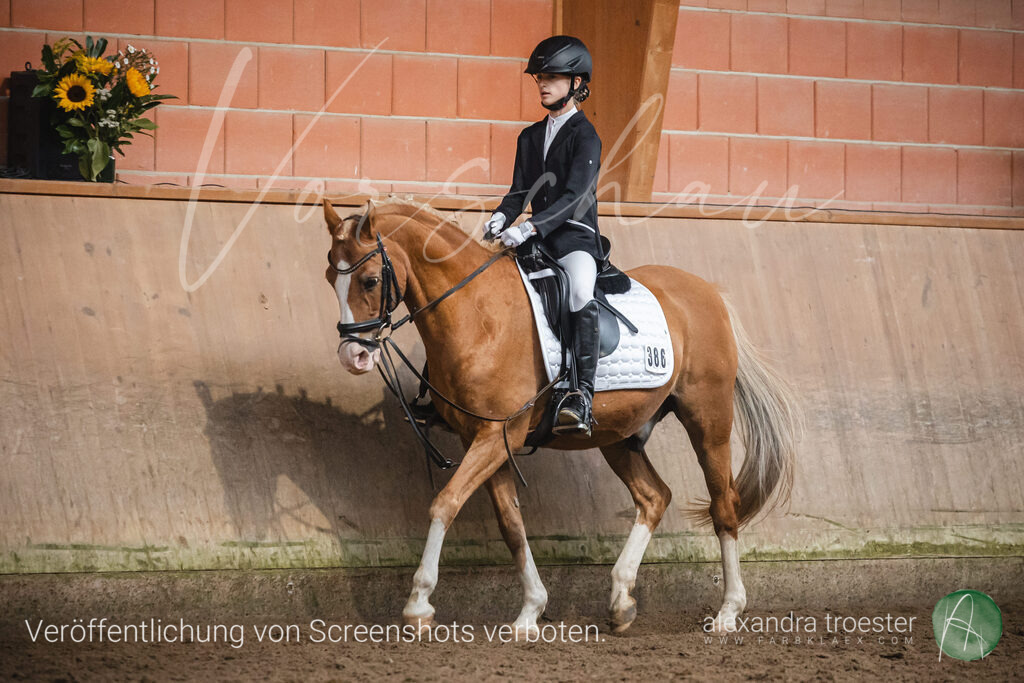 _MG_0721 | farbklaex.com