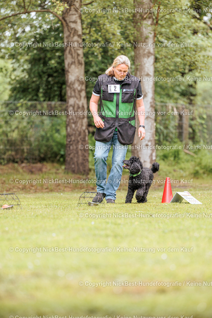 RO-Blumenthal-2026-Nickbest-Hundefotografie-1637 | Dein Hund! Dein Moment! Deine Erinnerungen! Hundefotografie in Bremen Blumenthal. Ich fange die besonderen Momente deines Vierbeiners ein – ob Indoor mit Blitzanlage oder in der freien Natur. Sicher dir dein Moment und dein Termin für eure Erinnerungen.
