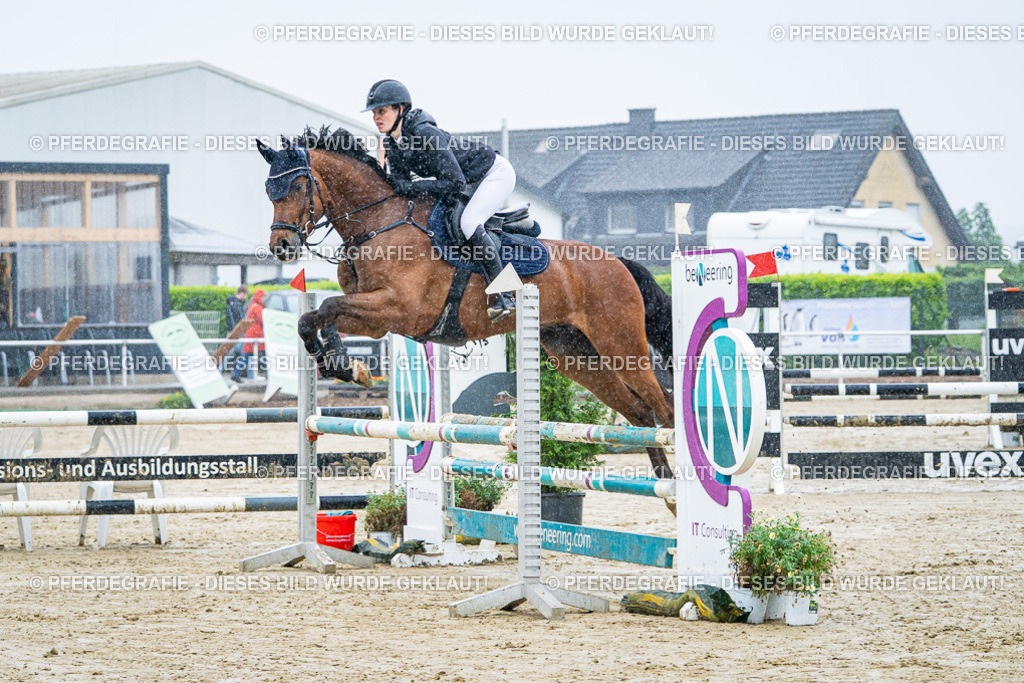 DSC02946 | Pferdegrafie