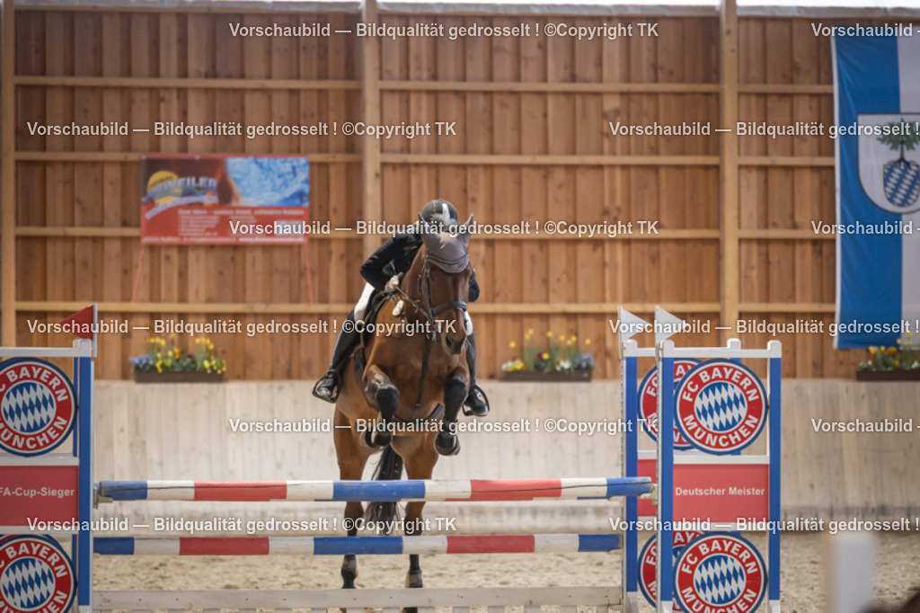 _D5A8687 | Emotionale Pferde- & People-Fotografie rund um Heidelberg, Leimen & Umgebung. Natürliche Fotos von Pferd, Mensch & Familie. Jetzt Termin sichern!