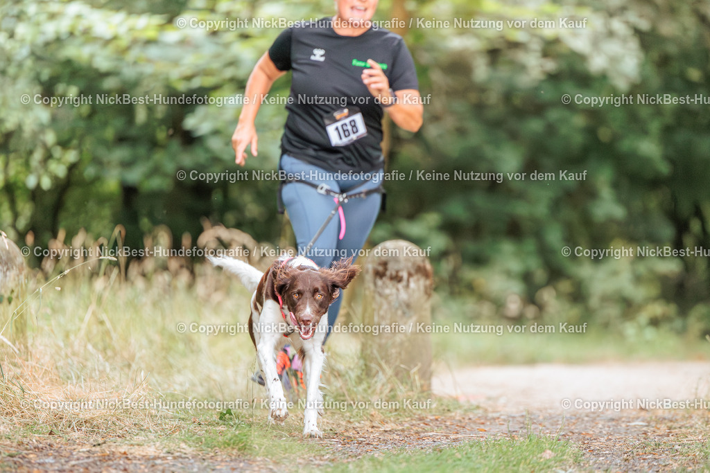 THS-Quakenbrück-2026-Nickbest-Hundefotografie-1087 | Dein Hund! Dein Moment! Deine Erinnerungen! Hundefotografie in Bremen Blumenthal. Ich fange die besonderen Momente deines Vierbeiners ein – ob Indoor mit Blitzanlage oder in der freien Natur. Sicher dir dein Moment und dein Termin für eure Erinnerungen.