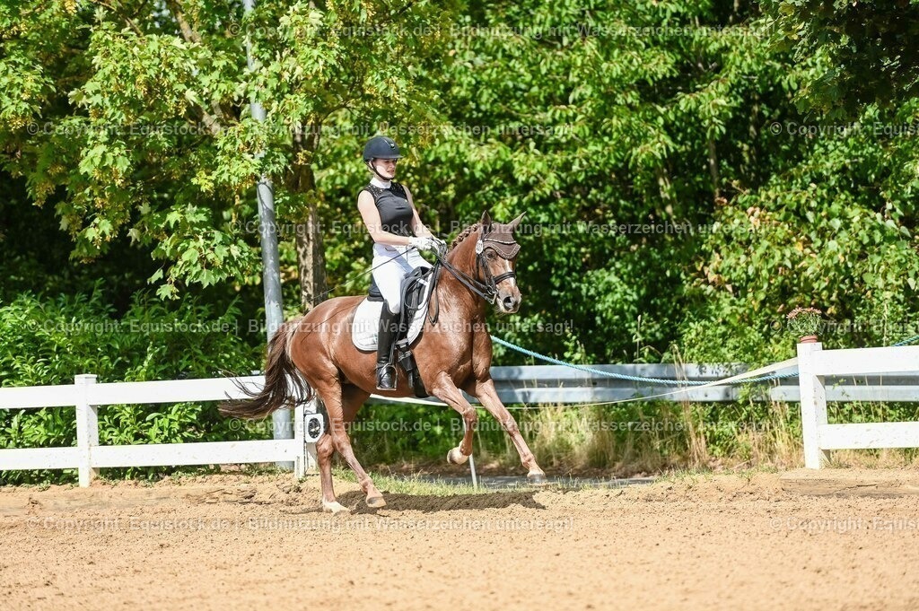 20230716_01_Dressurprüfung Kl.M_0340 | equistock
