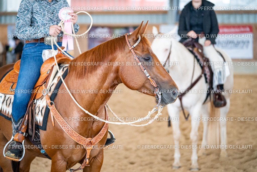 DSC03474 | Pferdegrafie