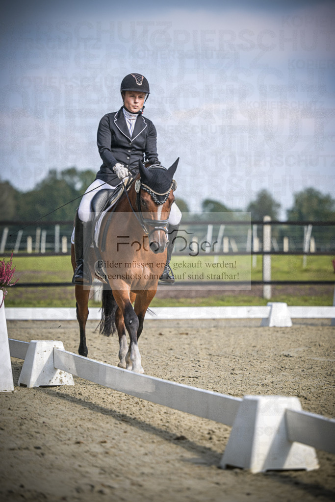 DOS_B745 | Entdecke hochwertige Reitturnierfotos von Foto Oger. Professionell, emotional und authentisch – jetzt Lieblingsmomente im Shop bestellen.Deutschlandweite Turnierfotografie. - Realisiert mit Pictrs.com