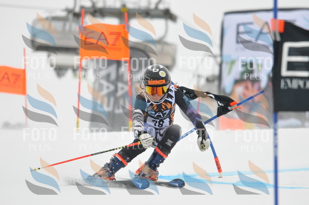 DSC_7614 | holidayphoto