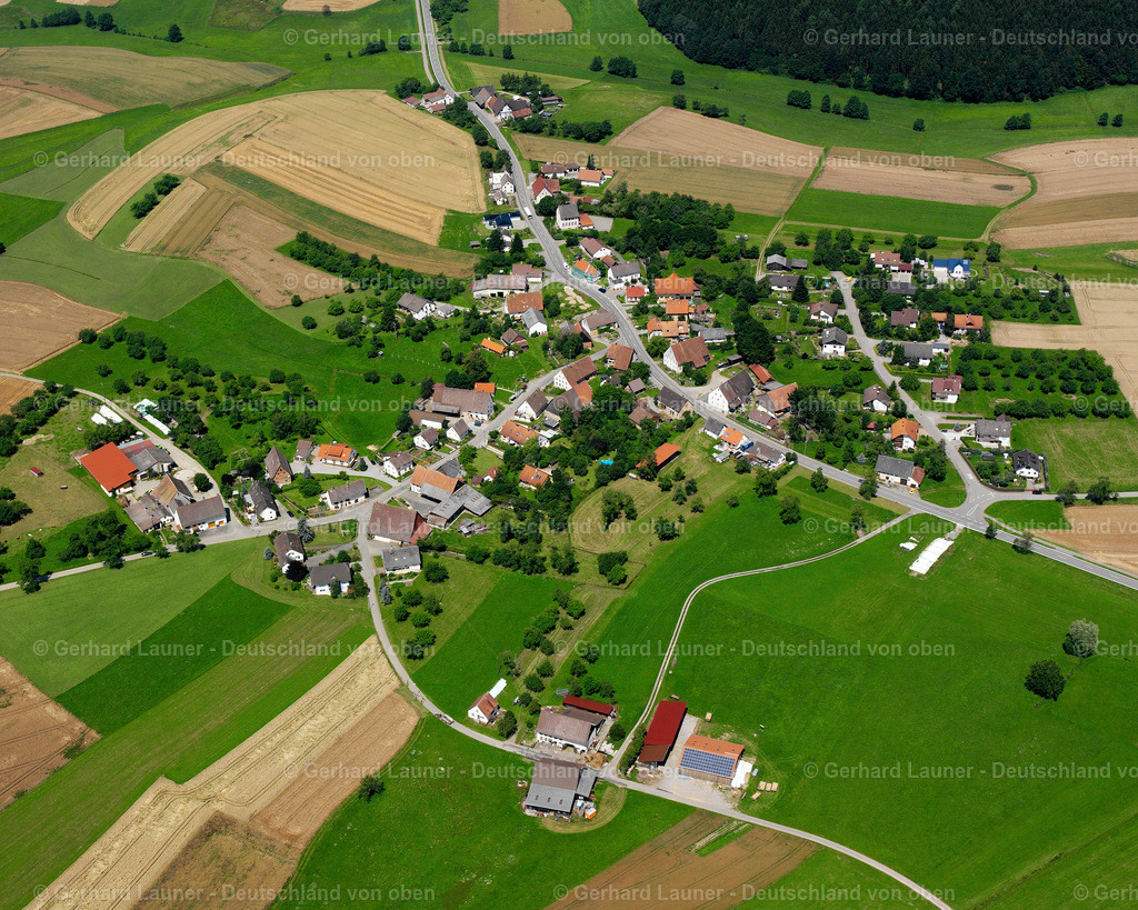 2536072 | Hippetsweiler, Wald