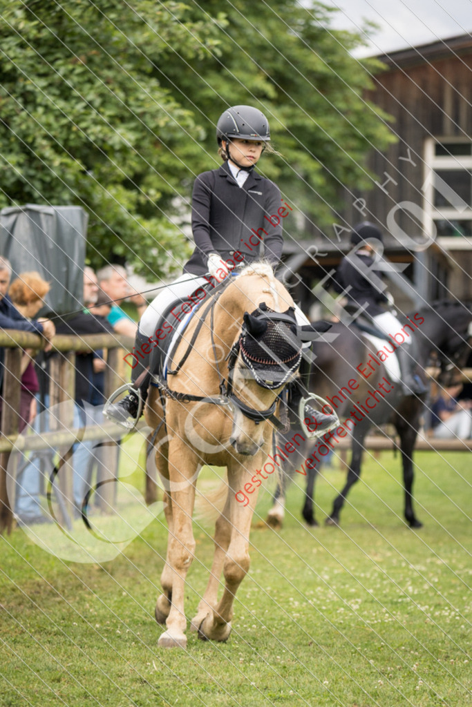IMG_1651 | Sport-, Event- und Tierfotos in Profiqualität. Einfach auswählen, bestellen und herunterladen. Dein Moment – perfekt festgehalten.