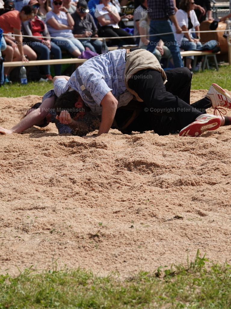 DSC06770 | Schwingen - Realisiert mit Pictrs.com