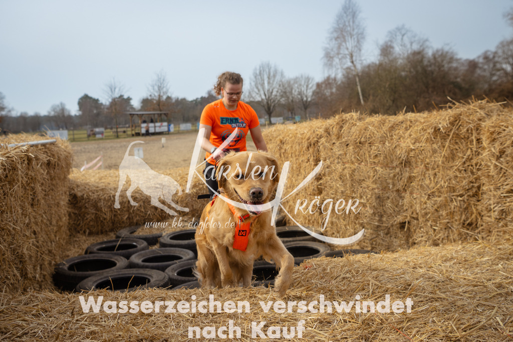 1101_ZZ91646 | kk-dogfotos
