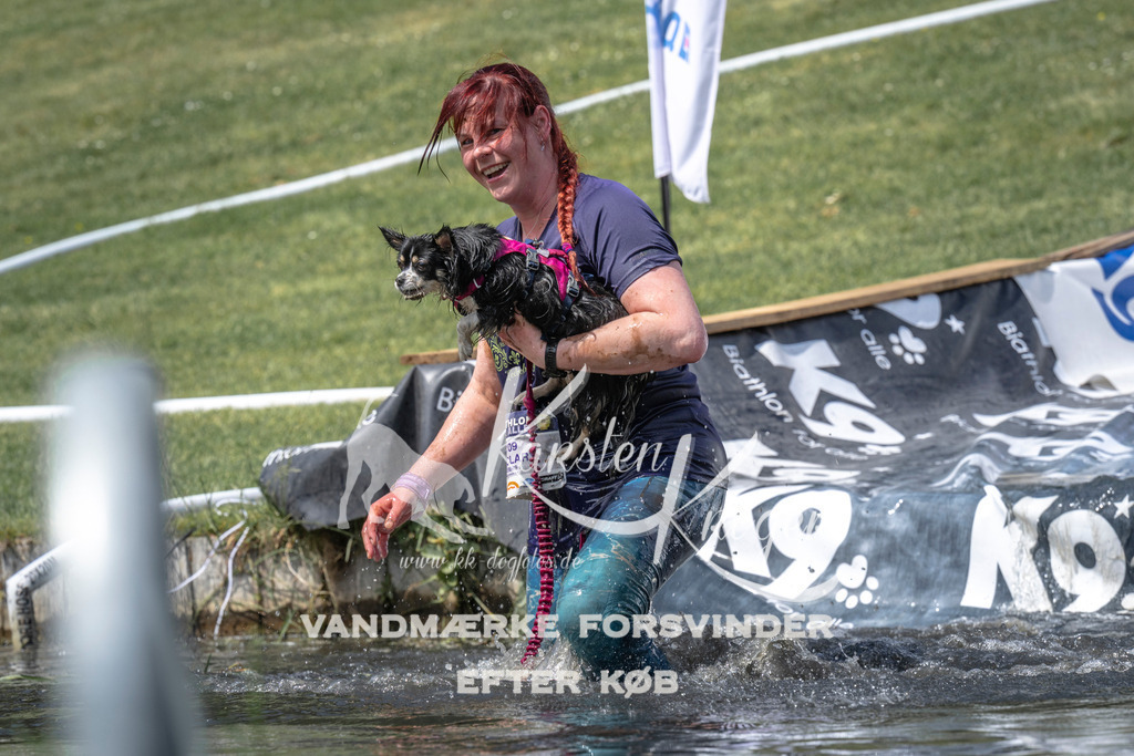 1219_ZZ96691 | kk-dogfotos