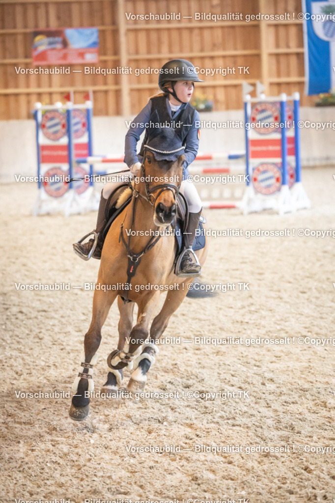 _D5A7891 | Emotionale Pferde- & People-Fotografie rund um Heidelberg, Leimen & Umgebung. Natürliche Fotos von Pferd, Mensch & Familie. Jetzt Termin sichern!