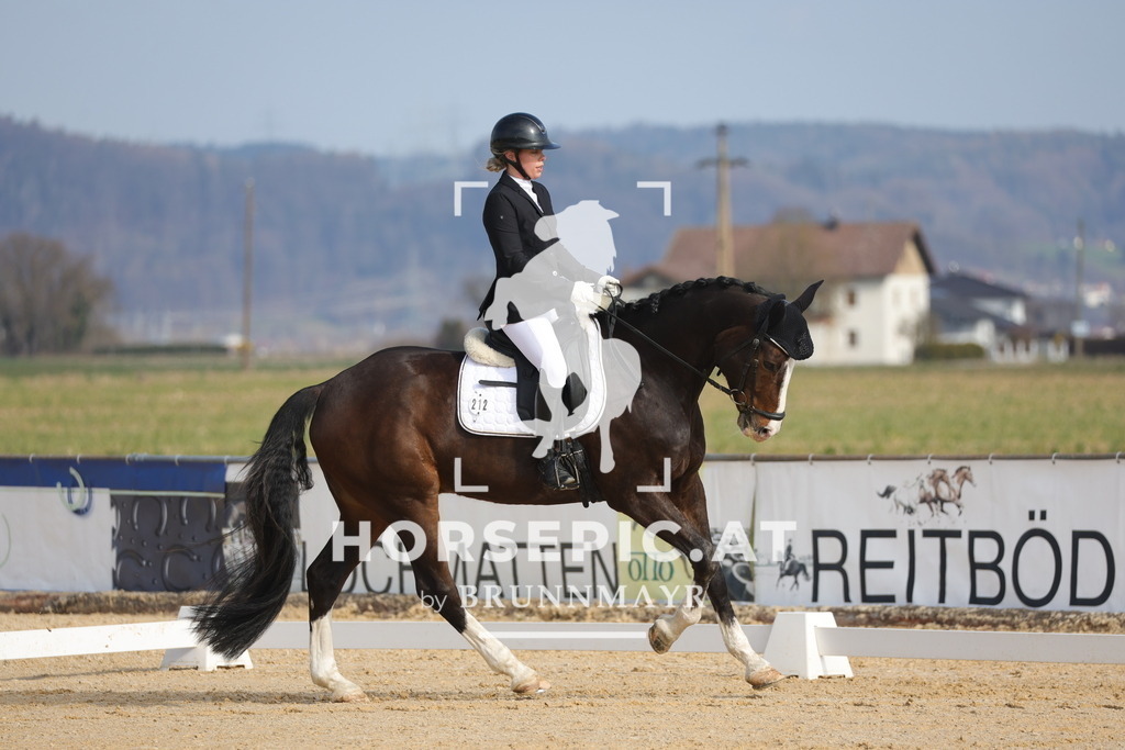 0P6A6141 | Willkommen bei Brunnmayr - Design & Fotografie – Ihrem Spezialisten für Reitturniere und Pferdeveranstaltungen in Oberösterreich, Salzburg und Bayern! Seit über 17 Jahren sind wir leidenschaftlich dabei.