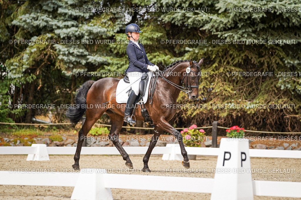 DSC05901 | Pferdegrafie