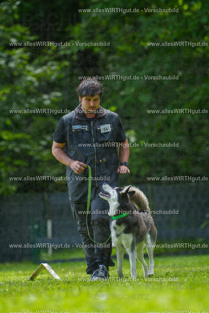 @allesWIRTHgut_Tierfotografie - www.allesWIRTHgut.de - 7R500909 | Professionelle Tierfotografie in Mönchengladbach von Daniel Wirth (allesWIRTHgut). Liebevolle & natürliche Bilder von Hunden & Katzen für unvergessliche Erinnerungen.