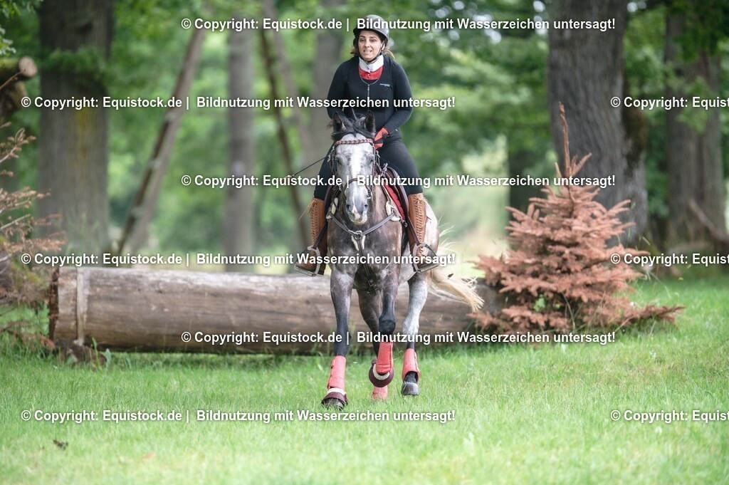 20250726_Vielseitigkeitslehrgang-Marbach_0255 | Foto: Thomas Hartig