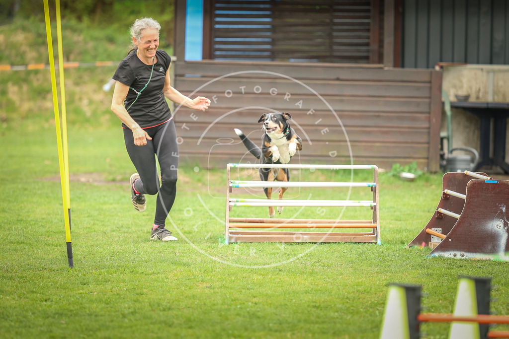 Pfotenfotografie_0L8A0048 | Hundefotografie, Tierfotograf, Pfotenfotografie, Fotoshooting Hund, Hunde Portrait, Hundesport, Hundeportraits, Heideshooting, Hunde, Sportfotograf, Hundefotograf, Turnierhundsport, THS,  - Realisiert mit Pictrs.com