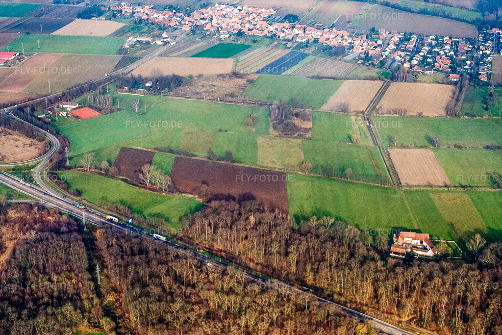 Luftbild: Birnbach und Erlenbach in Erlenbach bei Kandel im Bundesland Rheinland-Pfalz in Deutschland. Foto: IMG_14613.jpg vom 26.11.2008 durch Werner Riehm/FLY-FOTO.de
