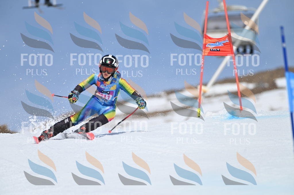 BGV_1145 | holidayphoto