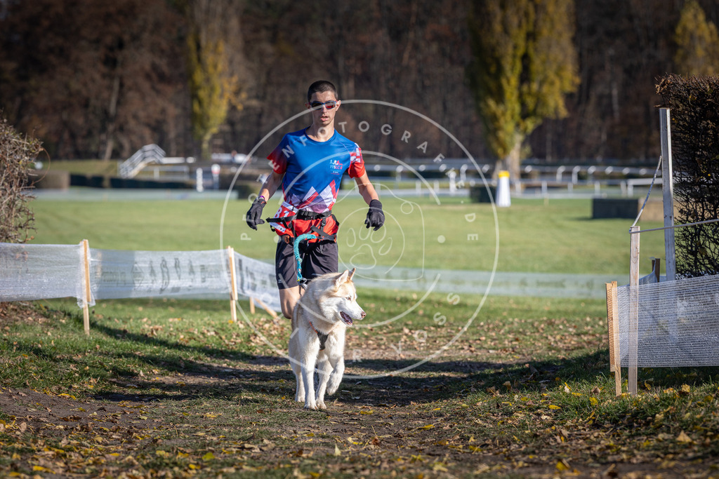 CaniXpix_DV3A9098 | Hundefotografie, Tierfotograf, Pfotenfotografie, Fotoshooting Hund, Hunde Portrait, Hundesport, Hundeportraits, Heideshooting, Hunde, Sportfotograf, Hundefotograf, Turnierhundsport, THS,  - Realisiert mit Pictrs.com