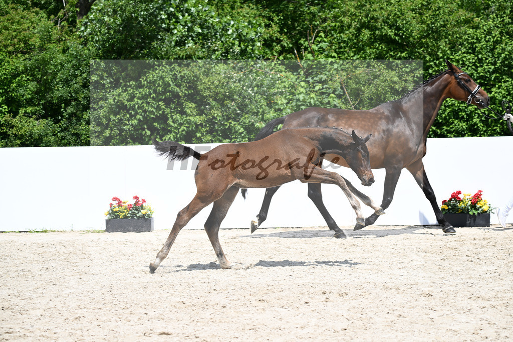 Vatson Sitte x Carry_SF_Gruber_13251073 | hf-fotografie - Realizzato con Pictrs.com