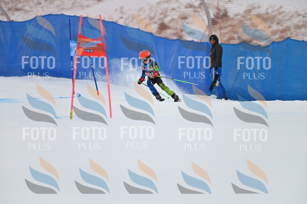 BGV_1902 | holidayphoto