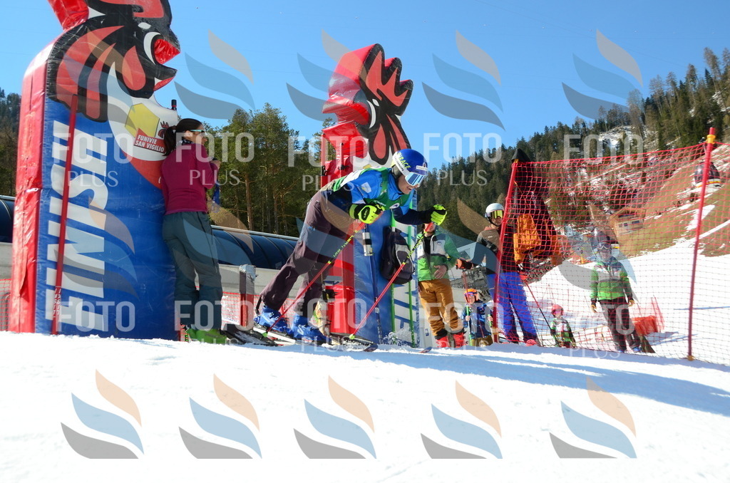 C7000 | holidayphoto