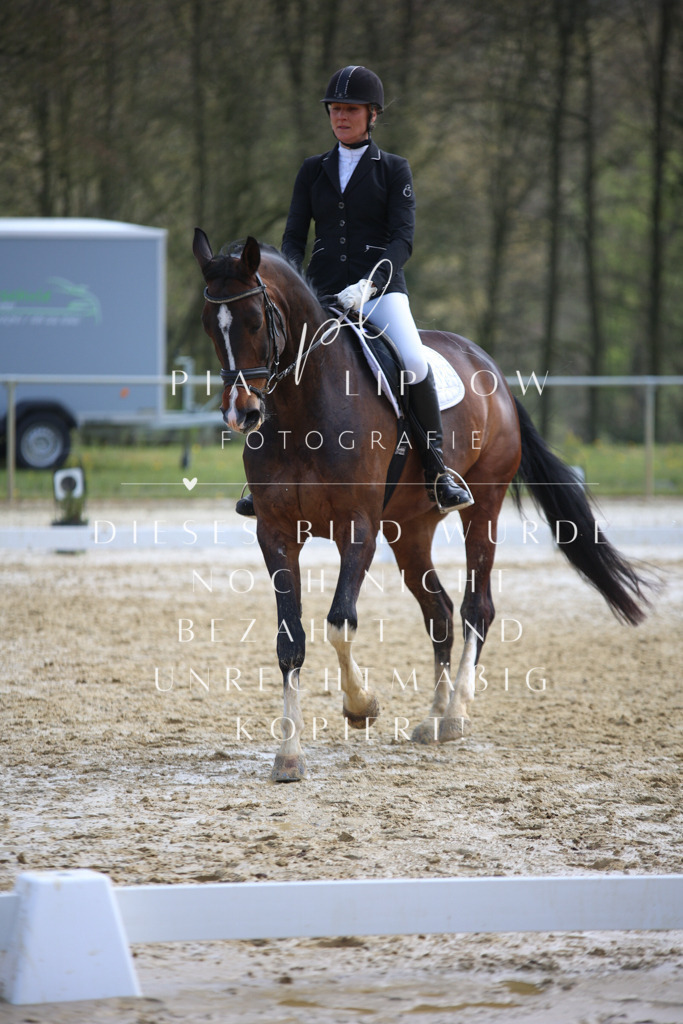 IMGT4618 | pl-fotografie