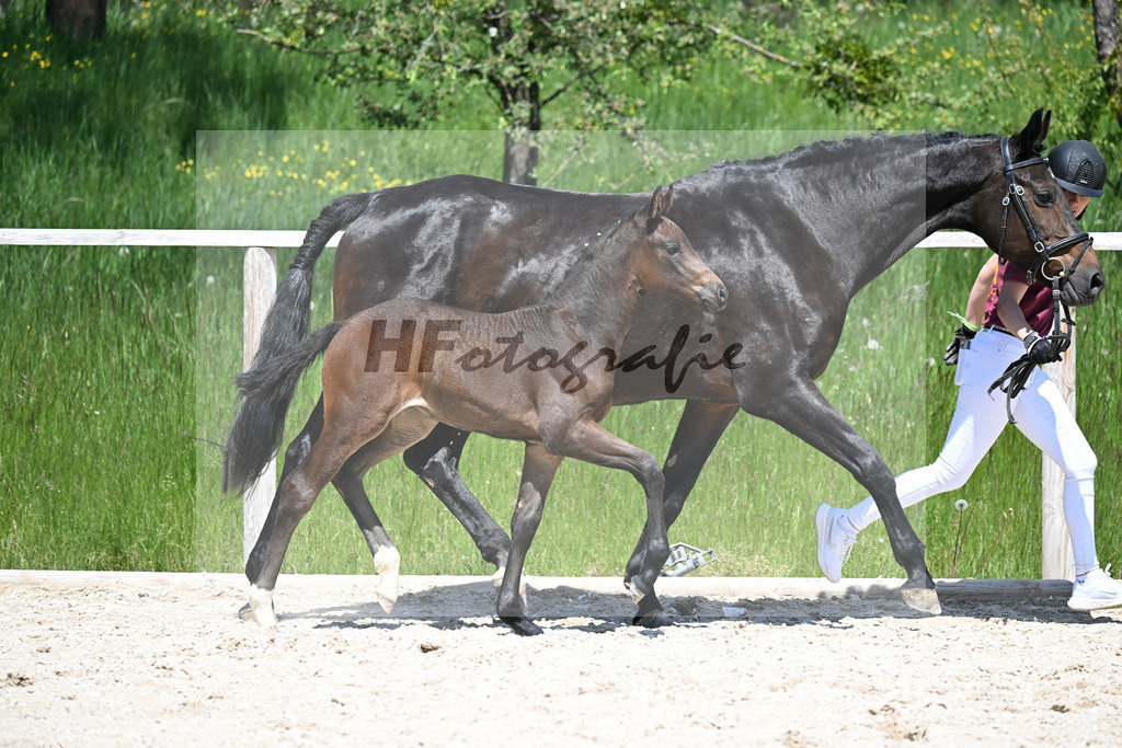 Feliciano x Ray Ban_SF_Stadelmann_10250565 | hf-fotografie - Realizzato con Pictrs.com