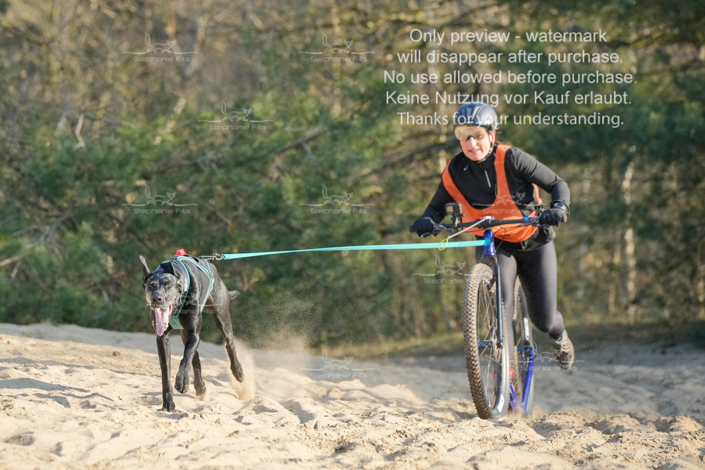 So_Scooter-44 | stephaniefillaphotographie - Realisiert mit Pictrs.com