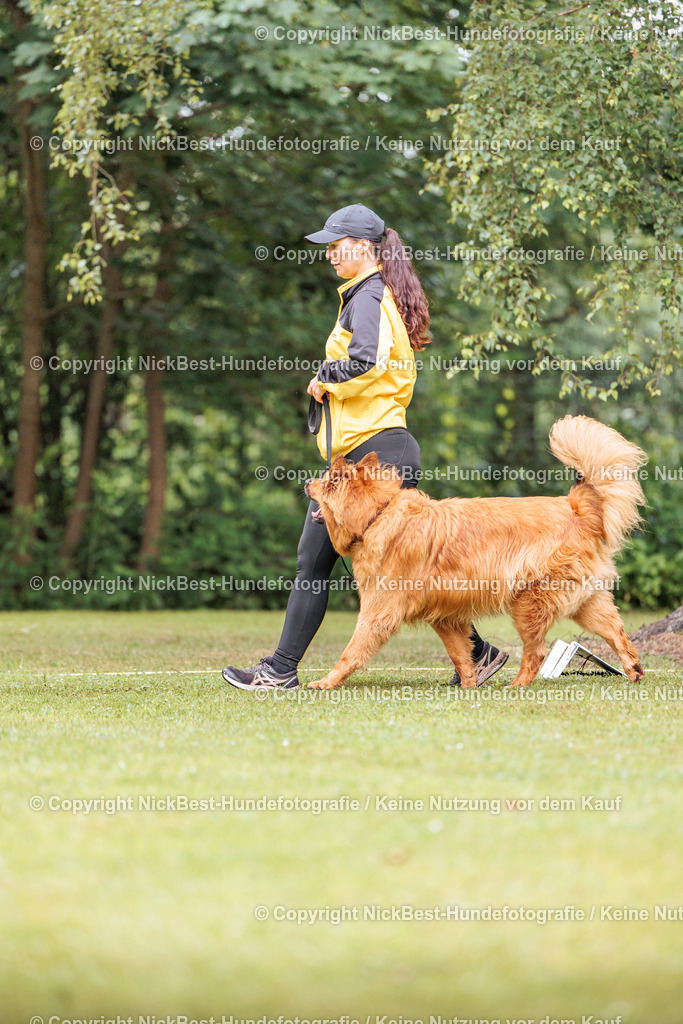 RO-Blumenthal-2026-Nickbest-Hundefotografie-3618 | Dein Hund! Dein Moment! Deine Erinnerungen! Hundefotografie in Bremen Blumenthal. Ich fange die besonderen Momente deines Vierbeiners ein – ob Indoor mit Blitzanlage oder in der freien Natur. Sicher dir dein Moment und dein Termin für eure Erinnerungen.