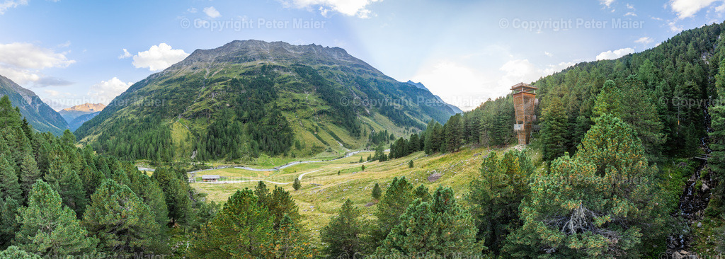 Wildtierbeobachtung_Oberhaus_Erlebnisraum_Wald_23_Peter_Maier-206 | default