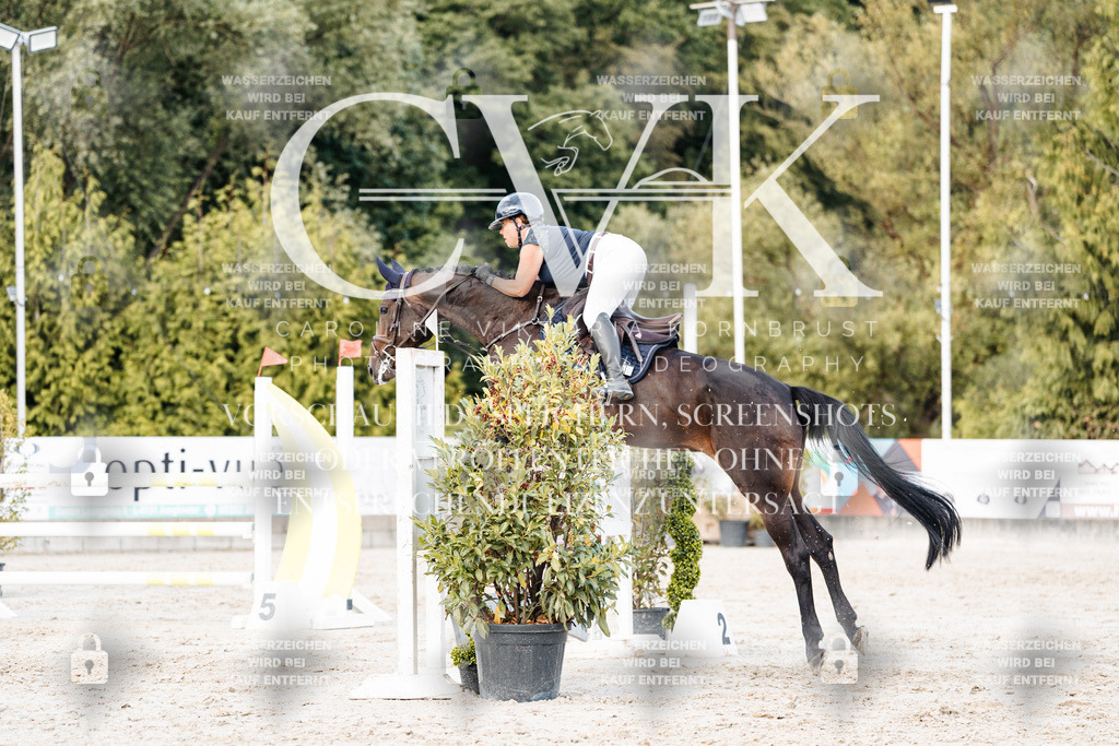 CK903717 | Turnierfotografie Pferdefotografie Trier Rheinland-Pfalz Pferdesport Reitsport Tierfotografie Sportfotografie Pferdevideo Pferdevideografie Equestrianvideography equestrianphotography  - Realisiert mit Pictrs.com
