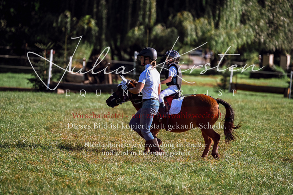 DSC_0478 | Pferde- und Turnierfotografie in Westsachsen. Pferdeportraits, Auftragszeichnungen und intuitive Kunst.