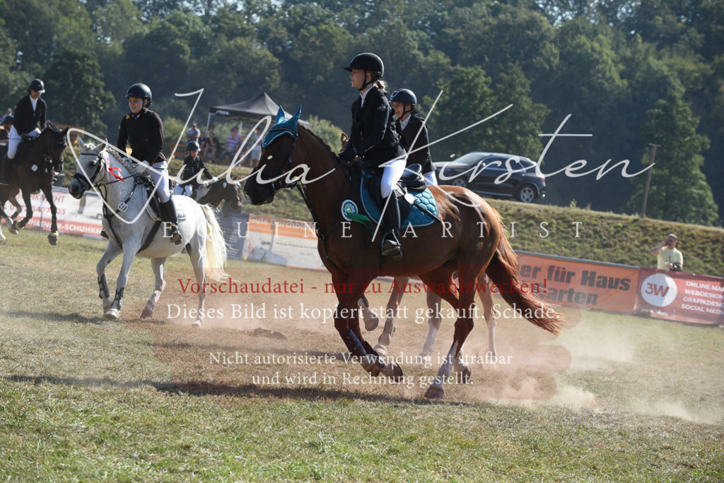 DSC_6207 | Pferde- und Turnierfotografie in Westsachsen. Pferdeportraits, Auftragszeichnungen und intuitive Kunst.